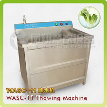 Frozen Meat Washing and Thawing Unfreezing Machine with Heating Funtion